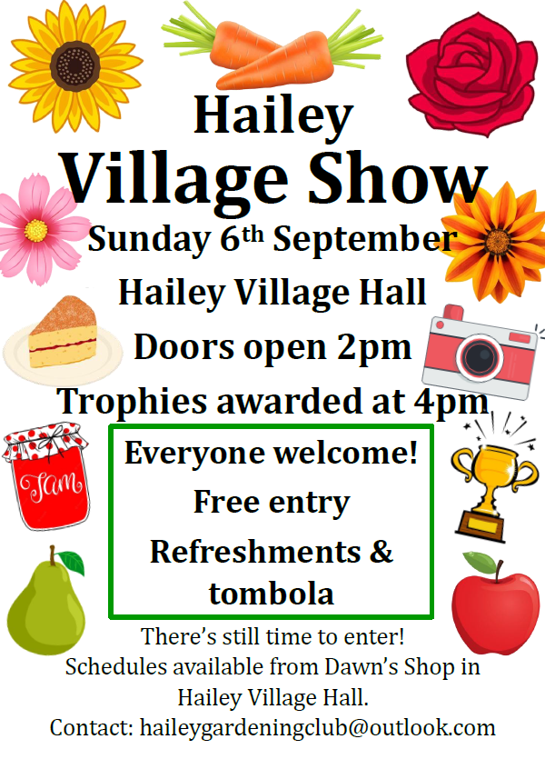 Hailey Village Show